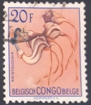 Stamps Democratic Republic of the Congo -  RESERVADO MANUEL BRIONES