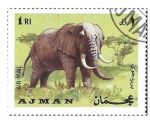 Sellos de Asia - Emiratos rabes Unidos -  YtAJPA64E- Elefante Africano (AJMAN)