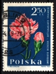 Sellos de Europa - Polonia -  serie- Flores de jardín