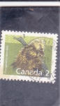 Stamps Canada -  puercoespín