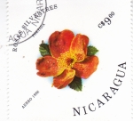 Sellos de America - Nicaragua -  FLORES- rosas silvestres