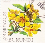 Sellos del Mundo : Africa : Burundi : FLORES