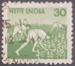 Stamps India -  Maizal