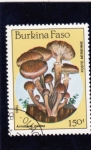 Stamps Burkina Faso -  SETAS