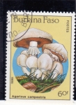 Stamps Burkina Faso -  SETAS