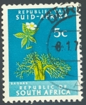 Stamps South Africa -  Baobab (Adansonia digitata