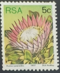 Sellos de Africa - Sud�frica -  King Protea (Protea cynaroides)