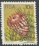 Stamps South Africa -  Ladismith Sugarbush (Protea aristata)