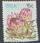 Stamps South Africa -  Protea eximia