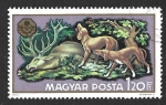 Stamps Hungary -  2070 - Exposición Mundial de Caza en Budapest