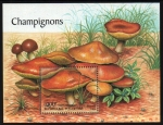 Sellos de Africa - Togo -  Setas- Boletus granulado