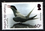 Stamps United Kingdom -  serie- Biodiversidad