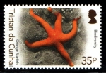 Stamps United Kingdom -  serie- Biodiversidad