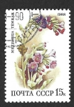 Stamps Russia -  5689 - Flora de los Bosques Frondosos