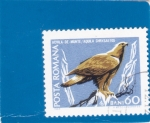 Stamps Romania -  AGUILA