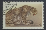  de Asia - Turkmenist�n -  Panthera uncia, leopardo de las nieves