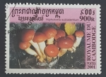  de Asia - Camboya -  Hypholoma Sublateritium