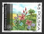 Sellos de Europa - Polonia -  1991 - Flores