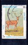 Stamps Nepal -  Barasingha (Cervus duvauceli)