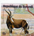 Stamps Burundi -  CERVIDO- antípole