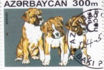 Stamps Azerbaijan -  PERROS DE RAZA- Bokser