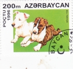 Stamps Azerbaijan -  PERROS DE RAZA- Bul Teryer