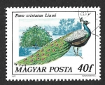 Stamps Hungary -  2471 - Pavo Real