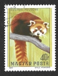 Stamps Hungary -  2509 - Panda Rojo