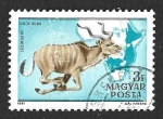 Stamps : Europe : Hungary :  C427E - Impala