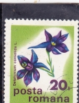 Stamps Romania -  FLORES