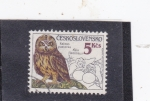 Stamps Czechoslovakia -  Búho campestre (Asio flammeus)