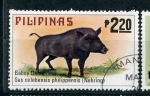 Sellos del Mundo : Asia : Philippines : Jabalí filipino