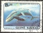 Stamps Africa - Guinea Bissau -  fauna, balaenoptera musculus
