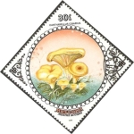 Stamps : Asia : Mongolia :  flora, cantharellus cibarius