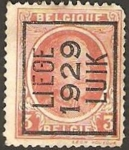 Sellos de Europa - Blgica -  alberto I, sobreimpresion liege 1929 luik