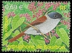 Sellos de Europa - Francia -  Aves - Fersiphone de Bourbon