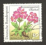 Stamps Germany -  1338 - planta del jardín botánico de rennsteiggarten, oberhof, primaveras