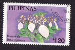 Stamps Philippines -  