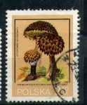 Sellos de Europa - Polonia -  Strobilomyces floccopus