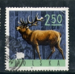 Stamps Poland -  Ciervo