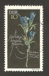 Stamps Germany -  933 - planta proteguida, gentiane