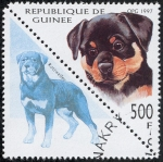 Sellos de Africa - Guinea -  Perros