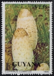 Stamps Guyana -  Setas