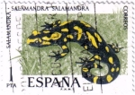 Stamps Spain -  Fauna Hispanica Salamandra