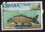 Stamps Spain -  CARPA