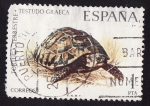 Stamps Spain -  TORTUGA TERRESTRE