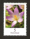 Sellos de Europa - Alemania -  flora, krokus