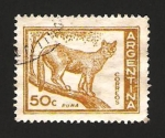 Stamps Argentina -  fauna, puma