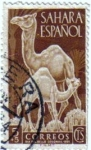 Stamps Spain -  Sahara Español. Día del sello 1951