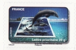 Stamps France -  Mamiferos Marinos